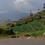 Dieng Banjarnegara