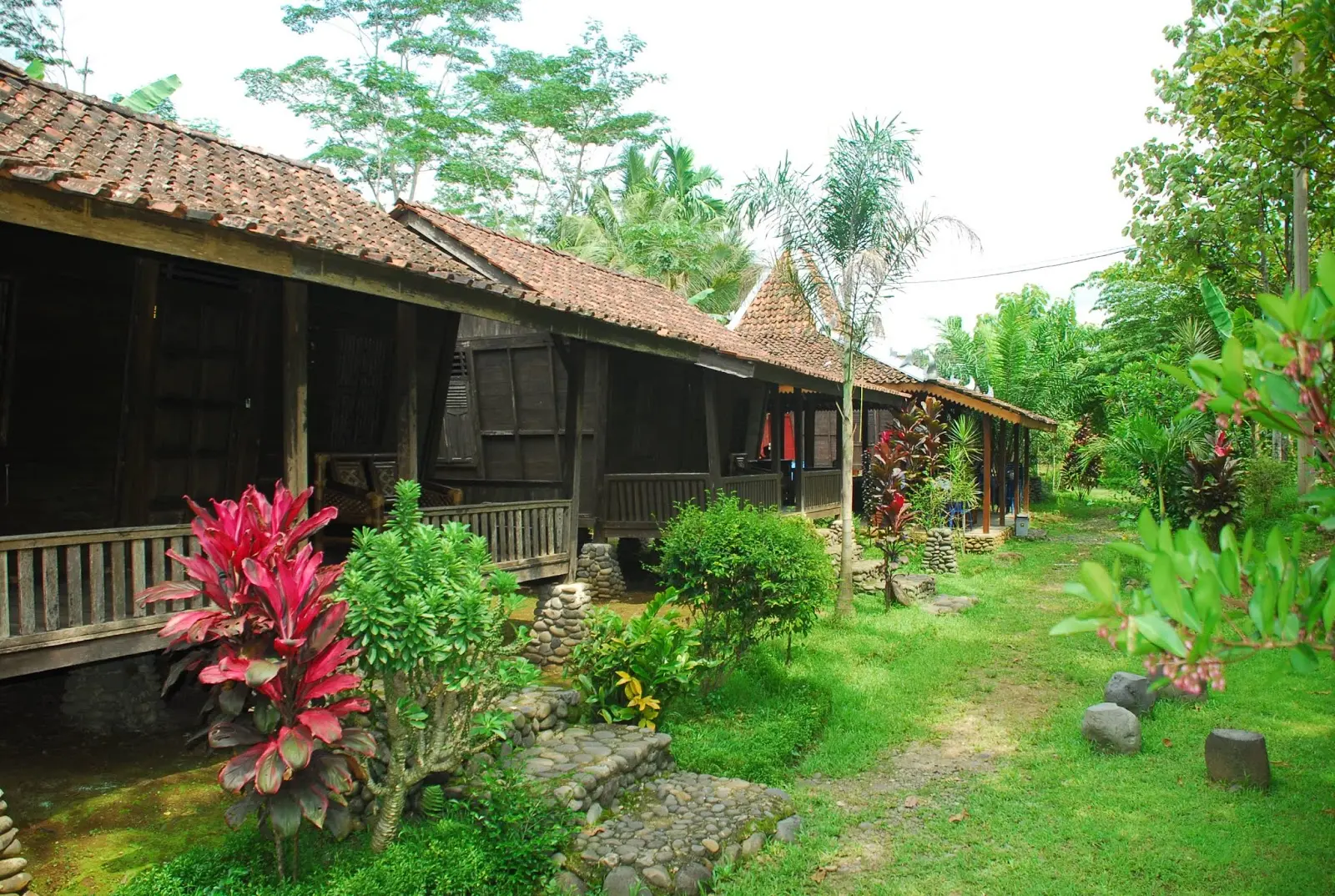 Penginapan The Pikas Artventure Resort