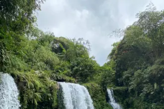 Pesona Curug Jenggala yang berada di wilayah dusun Kalipagu, Desa Ketenger, Kecamatan Baturraden, Kabupaten Banyumas, Jawa Tengah. (Foto: Dok. Seputar Banyumas)