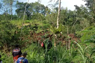 Sejumlah relawan melakukan pengecekan di lahan yang rusak akibat tanah gerak di Dusun Bandingan Kalibombong Banjarnegara, Jumat (2/1/2026). (Foto: Heri C)
