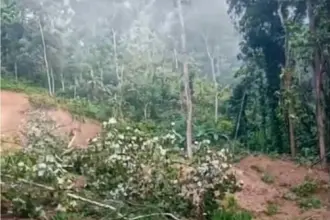 Ruas jalan di Desa Sidamulya Karangpucung Cilacap terutup material longsor. (BPBD Cilacap).