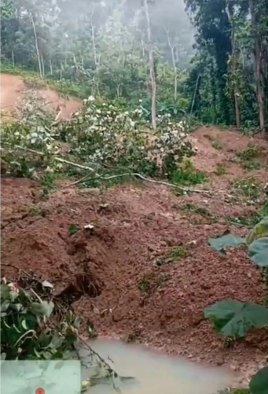 Ruas jalan di Desa Sidamulya Karangpucung Cilacap terutup material longsor. (BPBD Cilacap).