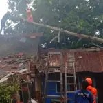 Petugas saat evakuasi pohon tumbang menimpa rumah warga di Cilacap. (BPBD Cilacap).