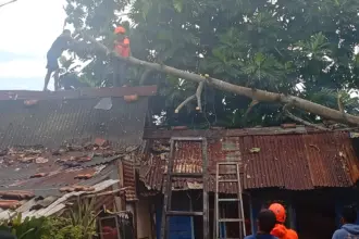 Petugas saat evakuasi pohon tumbang menimpa rumah warga di Cilacap. (BPBD Cilacap).