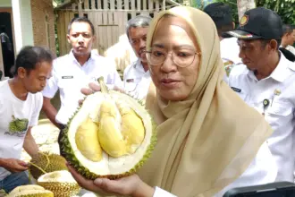 durian unggulan