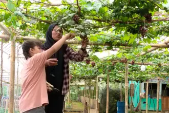 kd garden baturraden banyumas