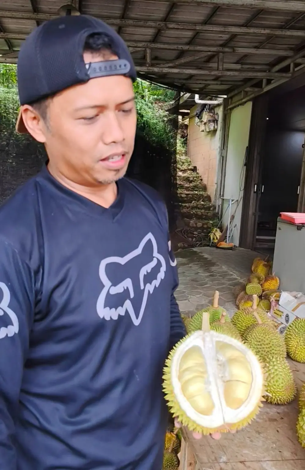 Durian Tedjo