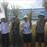 Panen Raya Dukung Ketahanan Pangan Nasional