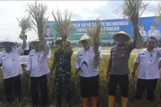 Panen Raya Dukung Ketahanan Pangan Nasional