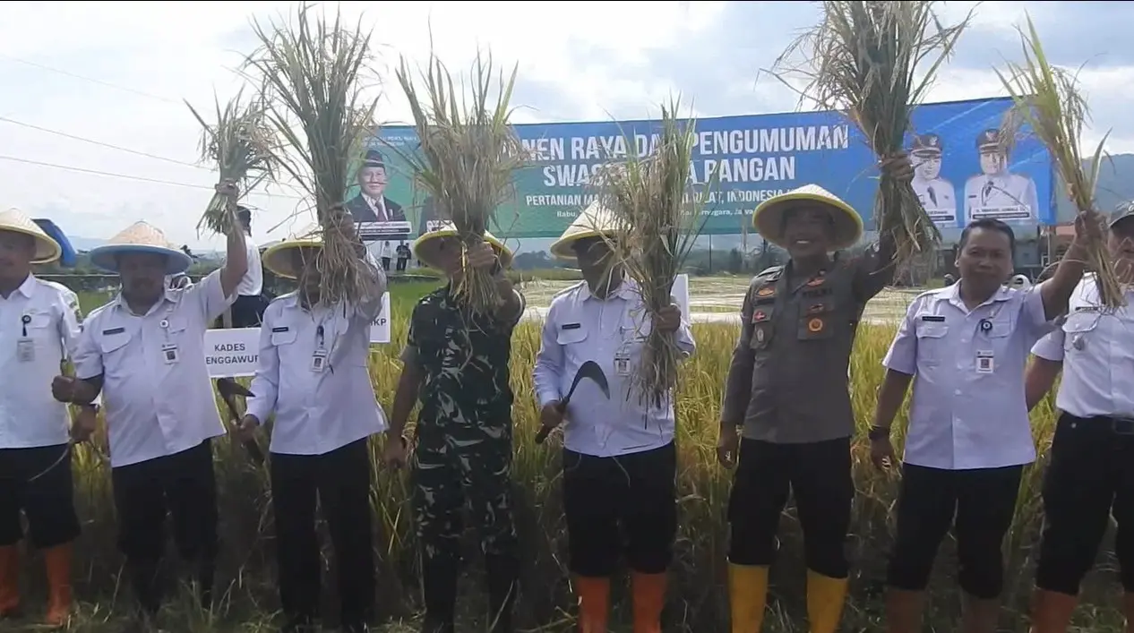 Panen Raya Dukung Ketahanan Pangan Nasional
