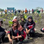 Program solusi ri menanam mangrove
