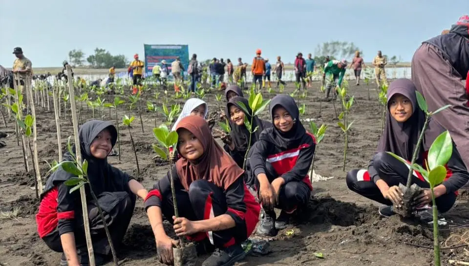 Program solusi ri menanam mangrove