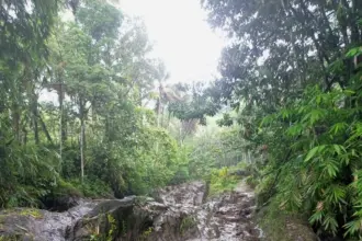 Material banjir bandang di sungai lereng gunung slamet