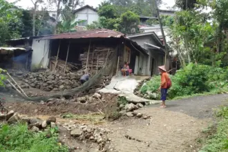 tanah gerak Pandanarum