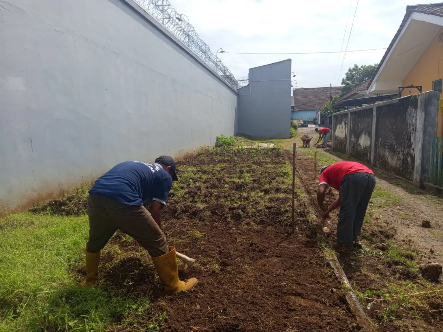 warga binaan mengolah lahan