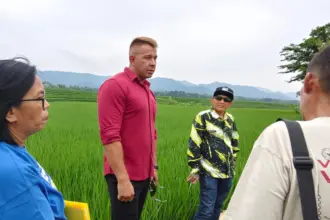 Cairan Imun akan diujicobakan di Desa Purwasaba