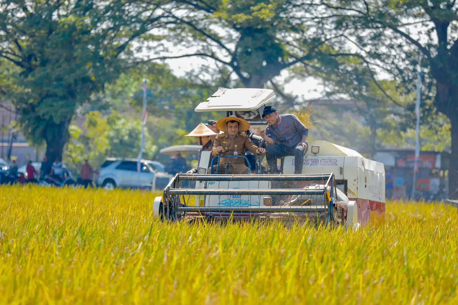 panen raya untuk swasembada pangan