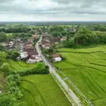 Desa Mandiri di Jateng