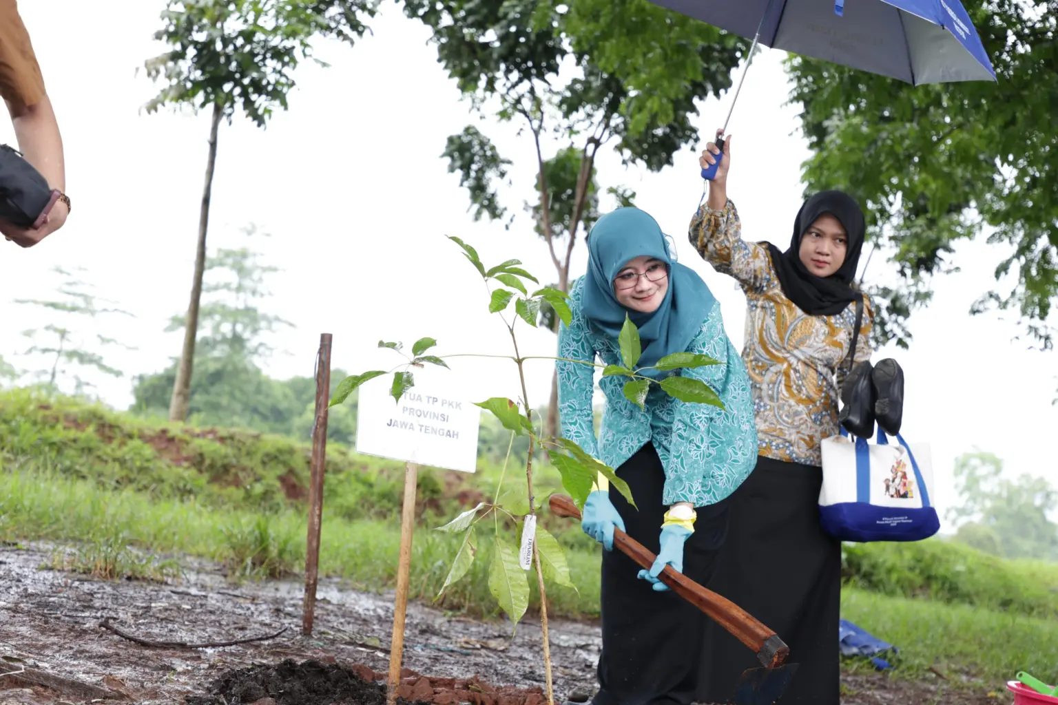 PKK Gerakan Tanam Pohon
