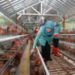 Dukung Ketahanan Pangan