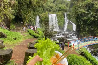 curug di baturraden