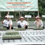 Bupati Cilacap Syamsul Auliya Rachman saat menanam bawang merah di Desa Karanganyar Adipala Cilacap. (Setda Cilacap).