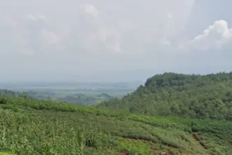 bukit sempayak