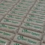 Super Tempe Penggalang