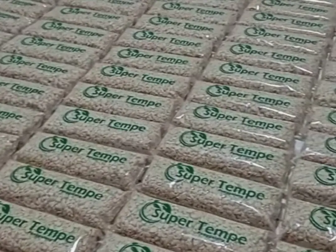 Super Tempe Penggalang