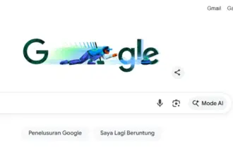 Google Doodle hari ini