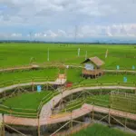 Kawista Emji Mernek Jenek