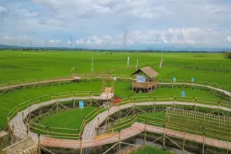 Kawista Emji Mernek Jenek