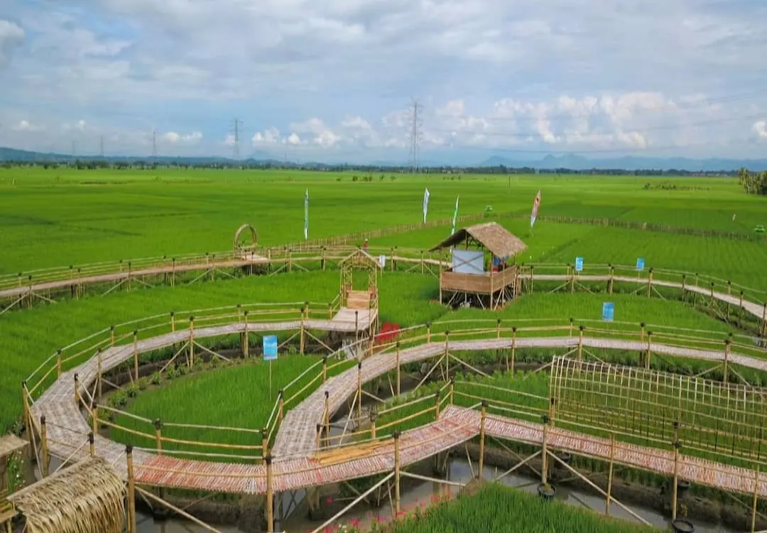 Kawista Emji Mernek Jenek