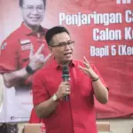 pdi perjuangan