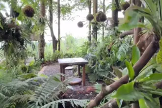 Safari space Baturraden