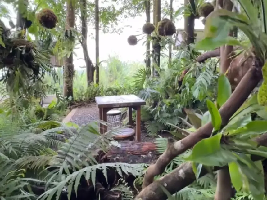 Safari space Baturraden