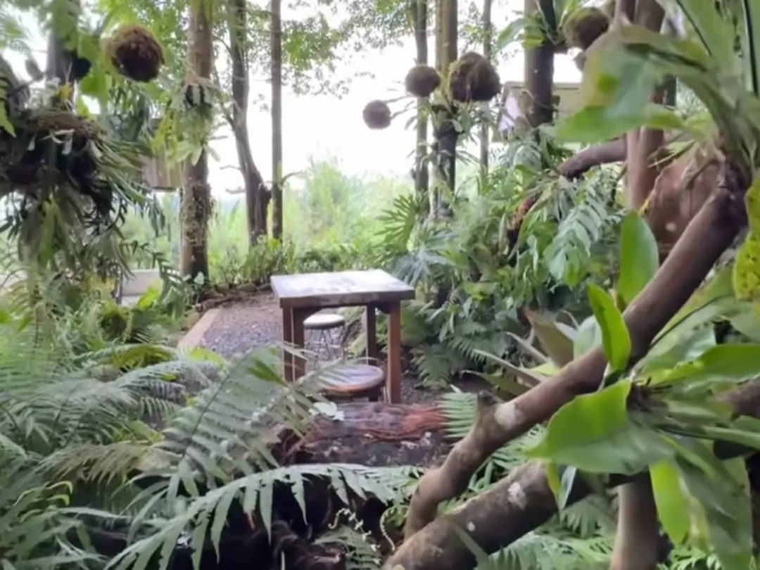 Safari space Baturraden