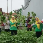 Rutan Banjarnegara panen sawi