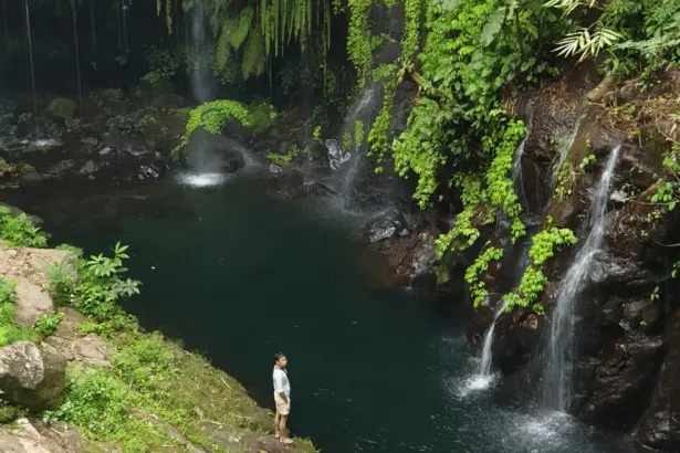 Bhumi Bambu Baturraden
