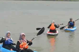 Mangrove Demangkarta