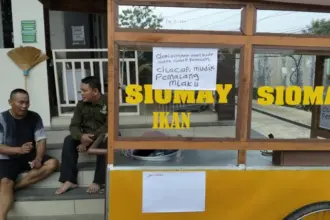 penjual siomay