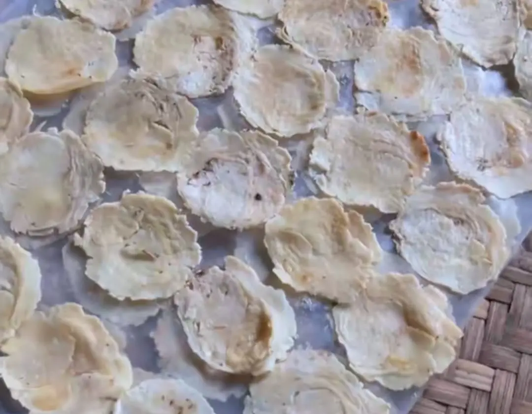 emping Intip 5 Tahap Rahasia Pembuatan Emping Melinjo Tradisional di Tambaknegara Banyumas