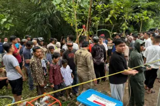 Evakuasi bocah tercebur sumur di Dusun Trajumaya RT 22/ RW 09 Desa Pasunggingan Kecamatan Pengadegan Kabupaten Purbalingga, Sabtu (21/3/2026). (Foto :Dok BPBD Purbalingga)