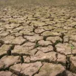 view dried cracked mud Kemarau 2026 Lebih Panjang dari Biasanya, Ini Prediksi BMKG untuk Cilacap