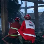 kebakaran kandang ayam