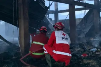 kebakaran kandang ayam