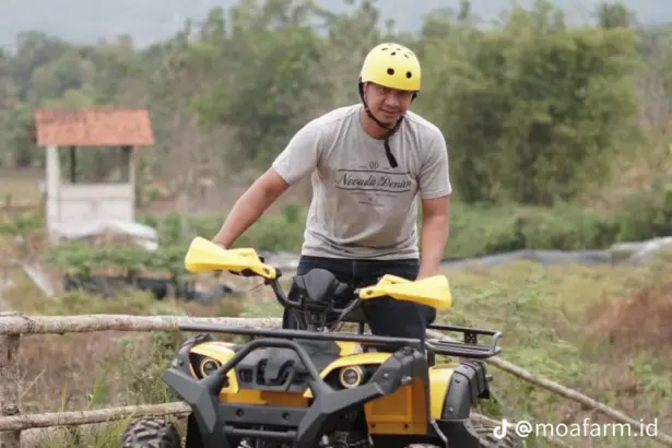 Moafarm Field & Food