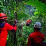 Proses evakuasi korban yang terjautun di dasar jurang Curug Ciputut, Desa Talagening Purbalingga, Selasa (28/4/2026). (Foto dan Vidio: Unit Siaga SAR Banyumas)