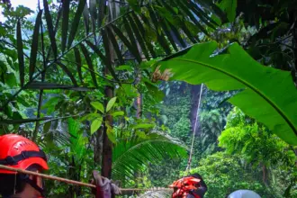 Proses evakuasi korban yang terjautun di dasar jurang Curug Ciputut, Desa Talagening Purbalingga, Selasa (28/4/2026). (Foto dan Vidio: Unit Siaga SAR Banyumas)