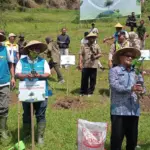 Komut PT PLN Indonesia Power beserta jajaran lainnya saat tanam pohon kopi di Desa Pegundungan Banjarnegara, Kamis (23/4/2026). (Foto: Heri C)